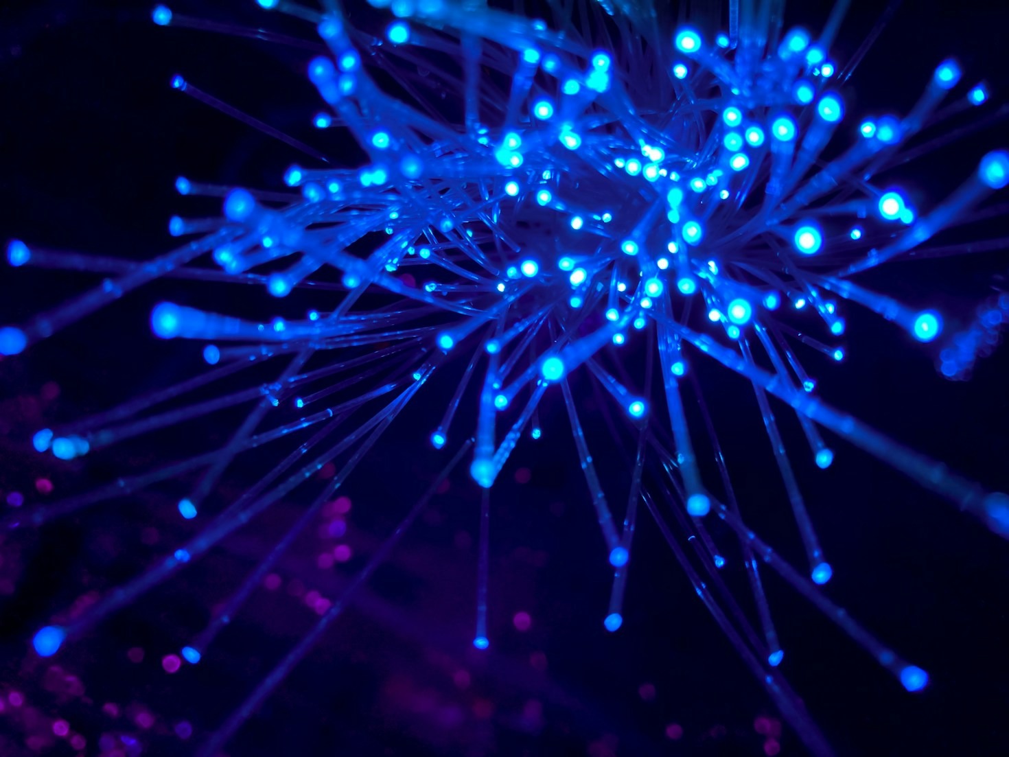 The Role of Real-Time Updates in Modern Newsfeeds